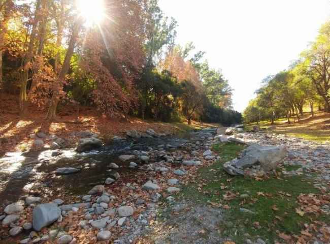 Arroyo rodeado de árboles - En'Villa Yacoana'